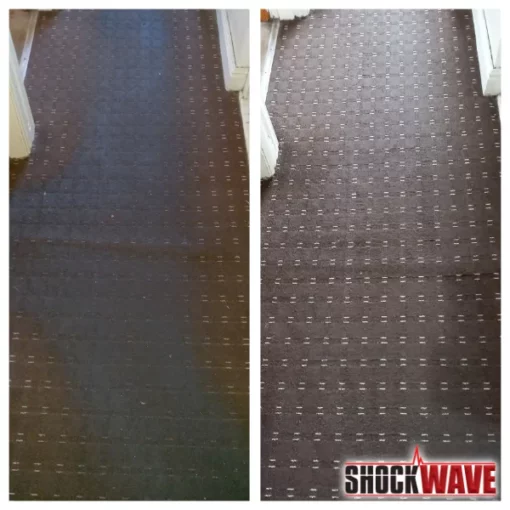 worldofclean shockwave  5 kg - afbeelding 2