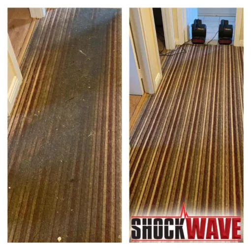 worldofclean shockwave  5 kg - afbeelding 4